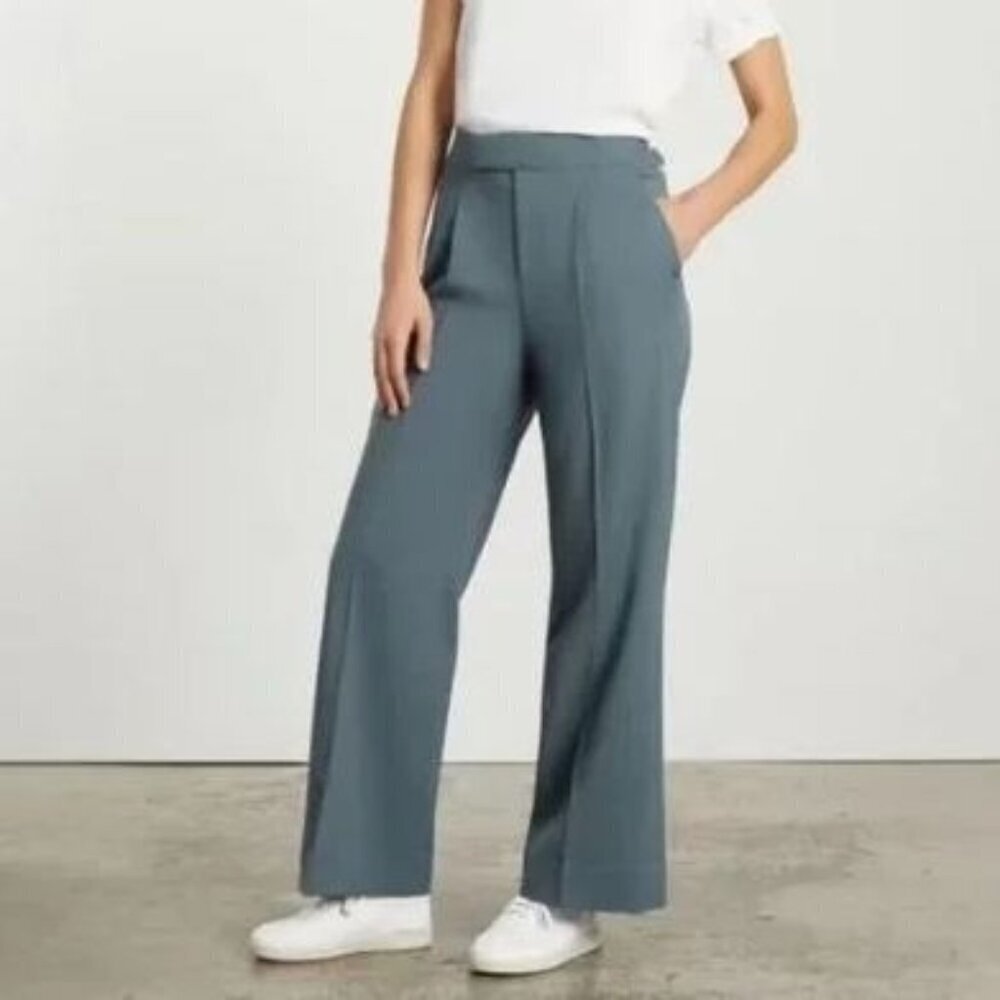 Everlane The ’80s Italian Wool Straight Leg Pleat Front Trousers Plus Size 14